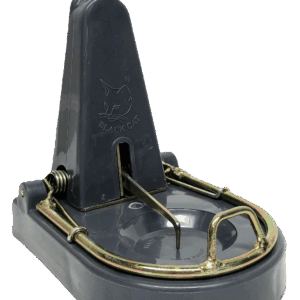 Close up picture of a rat trap facing the reader