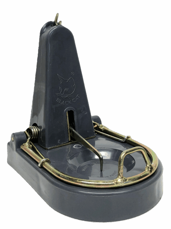 Close up picture of a rat trap facing the reader