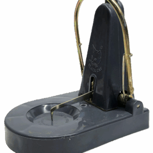 Close up picture of a rat trap facing left