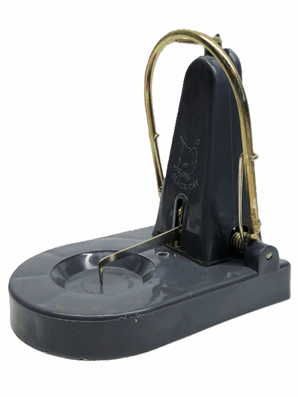 Close up picture of a rat trap facing left