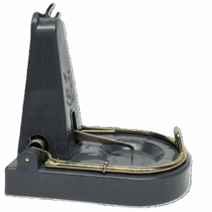 Close up picture of a rat trap facing right