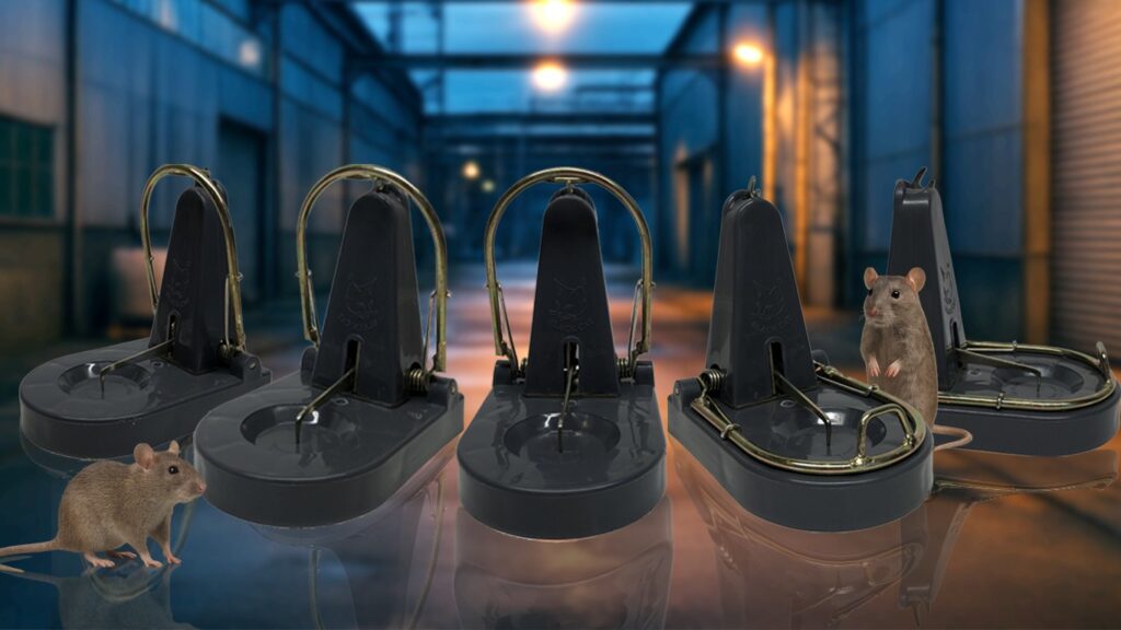 multiple rat traps in an industrial setting