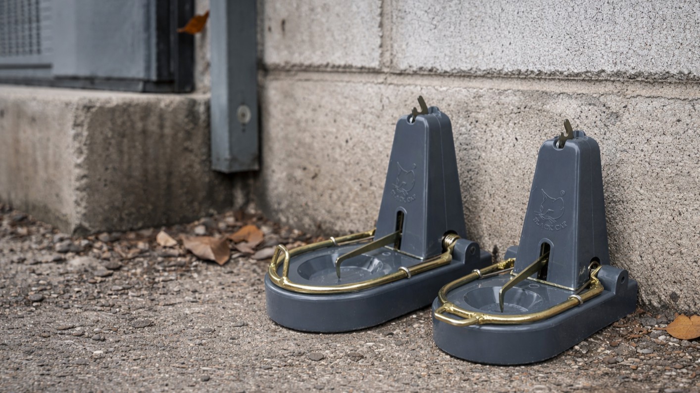 Black Cat Rat Traps placed on Exterior of building