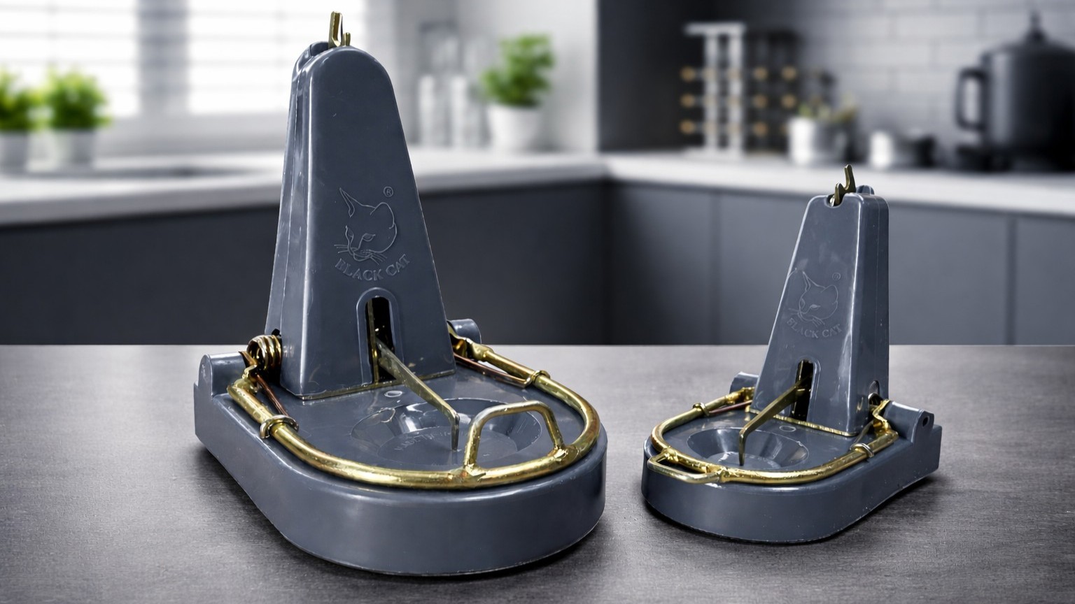 Black Cat Rat Traps on modern table with Kitchen background