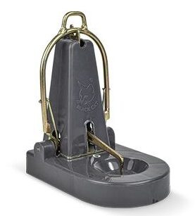 Black Cat Nano Trap